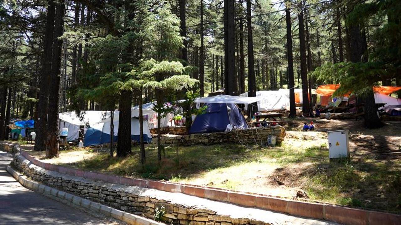 Kızıldağ Milli Parkı'nın yeşil ormanlık manzarası