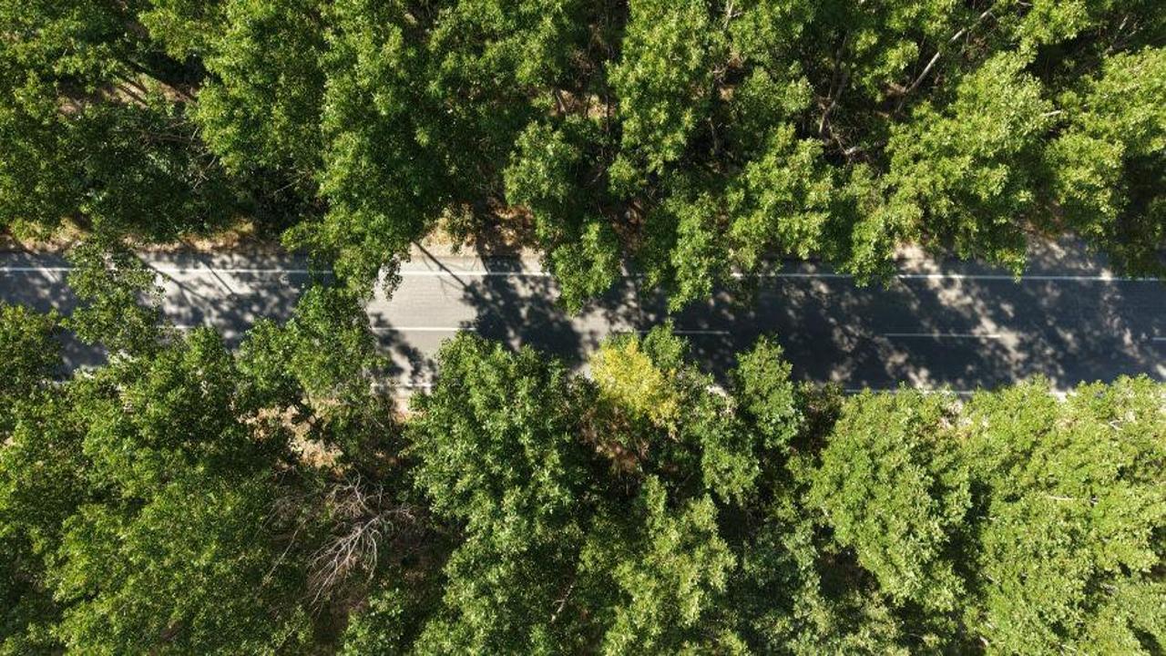 Tokat'ın Almus ilçesinde bulunan, yazın serinliğiyle bilinen ve doğaseverlerin ilgi odağı olan Yeşil Tünel'in doğal atmosferi.