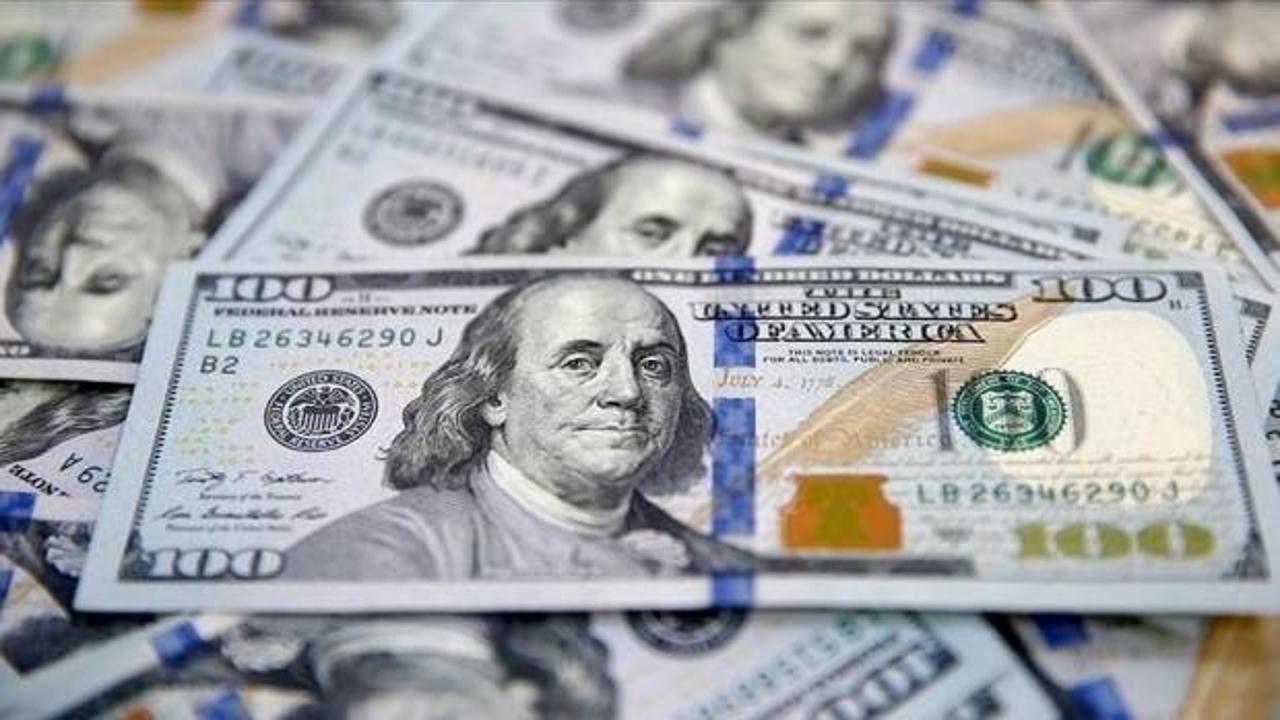 Türkiye Cumhuriyet Merkez Bankası logosu ve finansal grafikler.