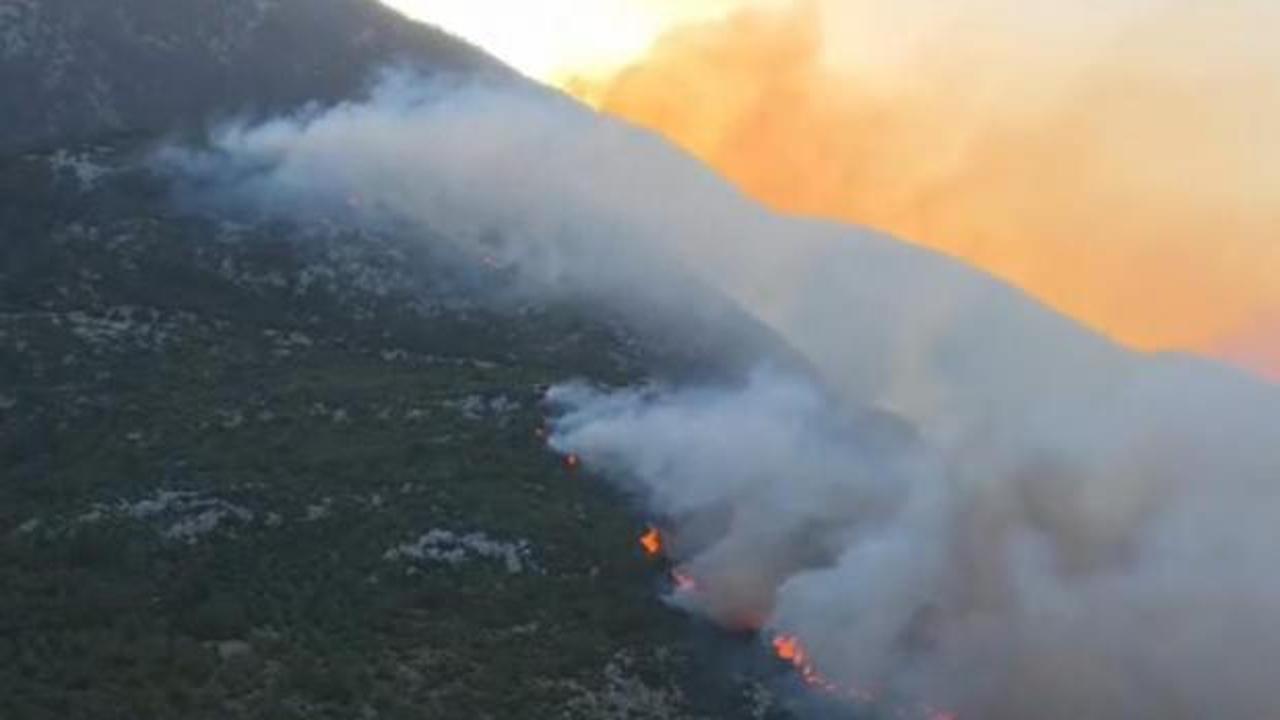 Kaş'ta orman yangını! Havadan ve karadan m&uuml;dahale ediliyor