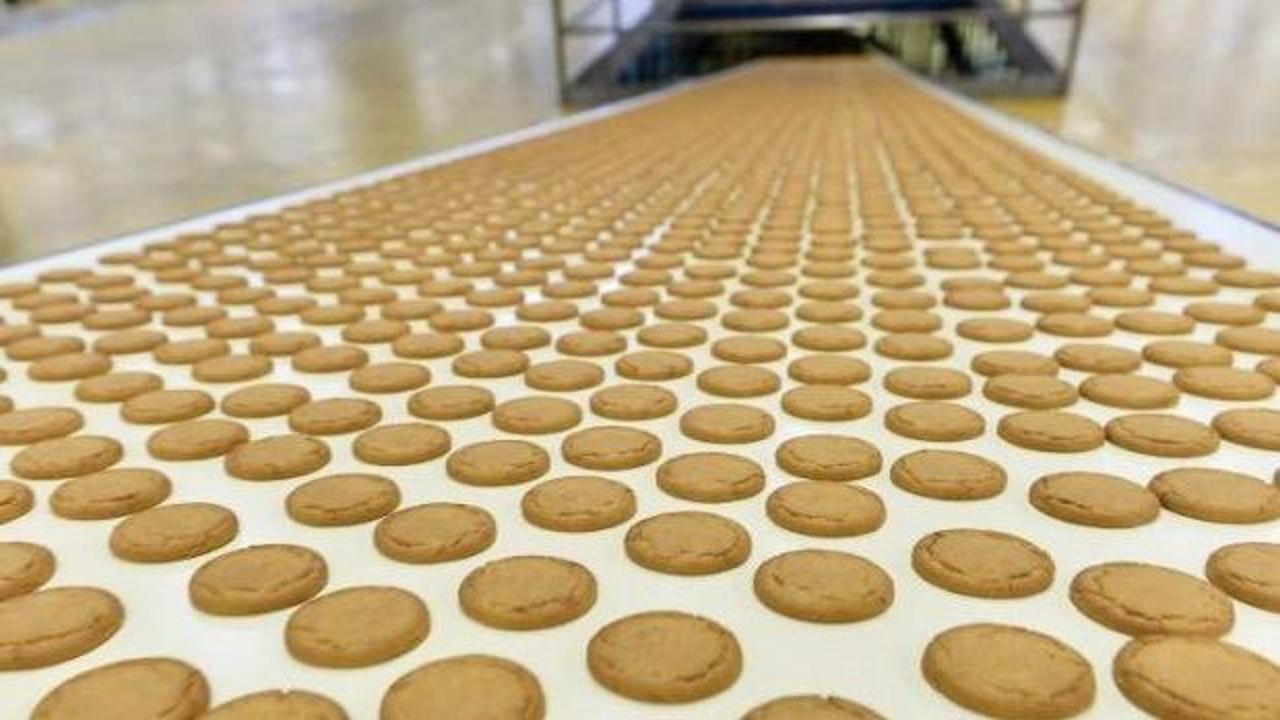 pladis şirketi logosu ve sağlıklı atıştırmalık ürünleri