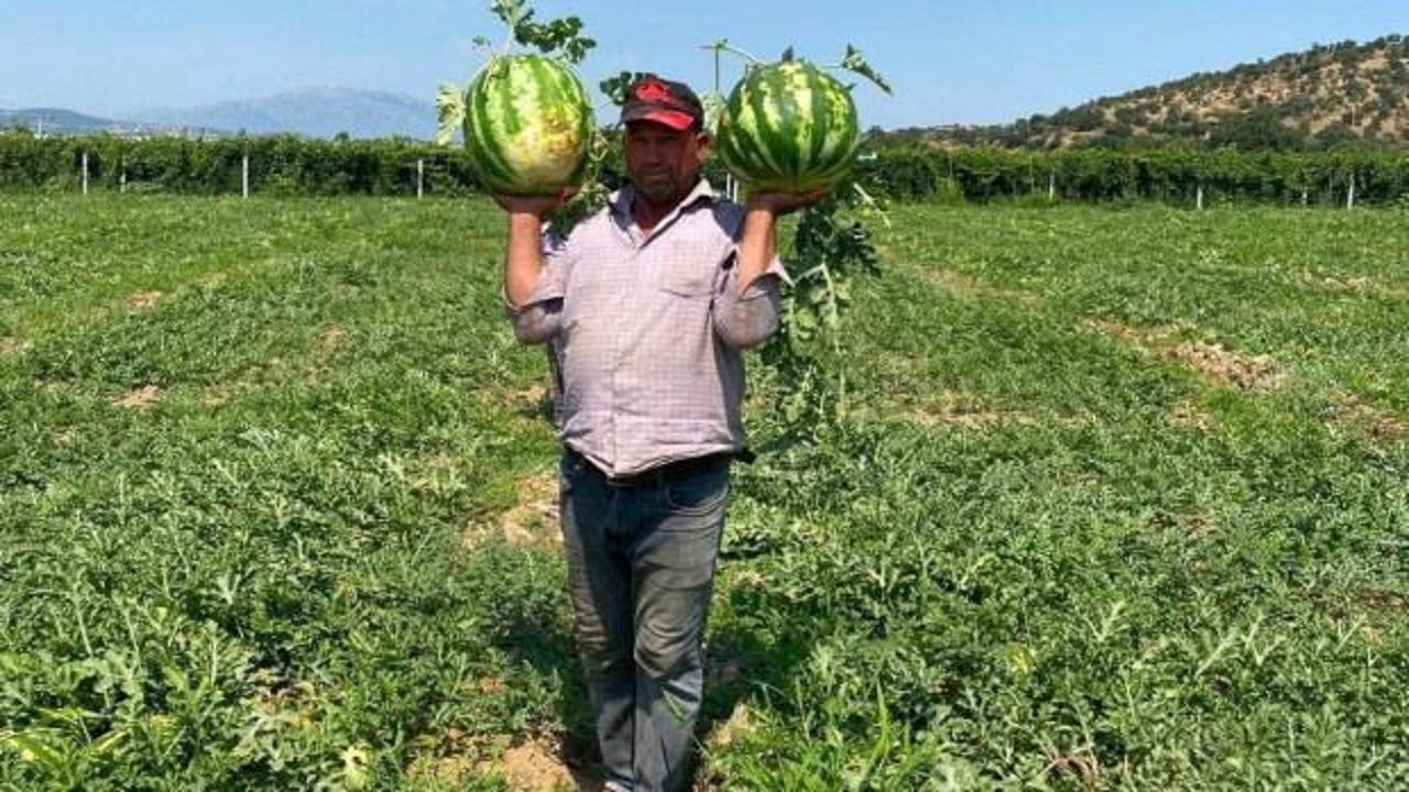 Alın terini zayi etmedi! &Ccedil;ift&ccedil;i, bir yıllık hasadını b&ouml;yle kurtardı 
