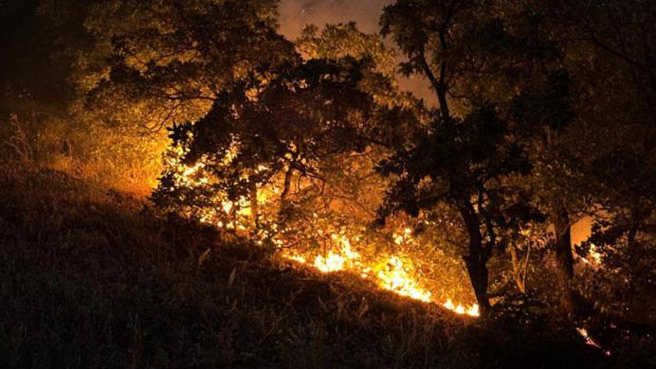 Munzur Vadisi Milli Parkı'nda orman yangını