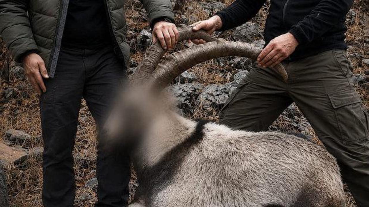 Pa&ccedil;ayı yırttım sanan ka&ccedil;ak avcılar 6 yıl sonra enselendi! Bakanlık paylaştı 