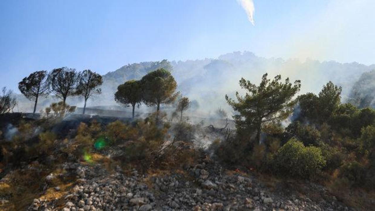 Antalya'da orman yangını: Kontrol altına alındı!