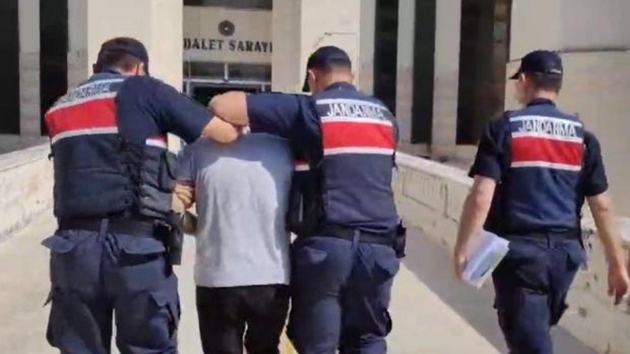 Edremit'teki orman yangına ilişkin 1 tutuklama