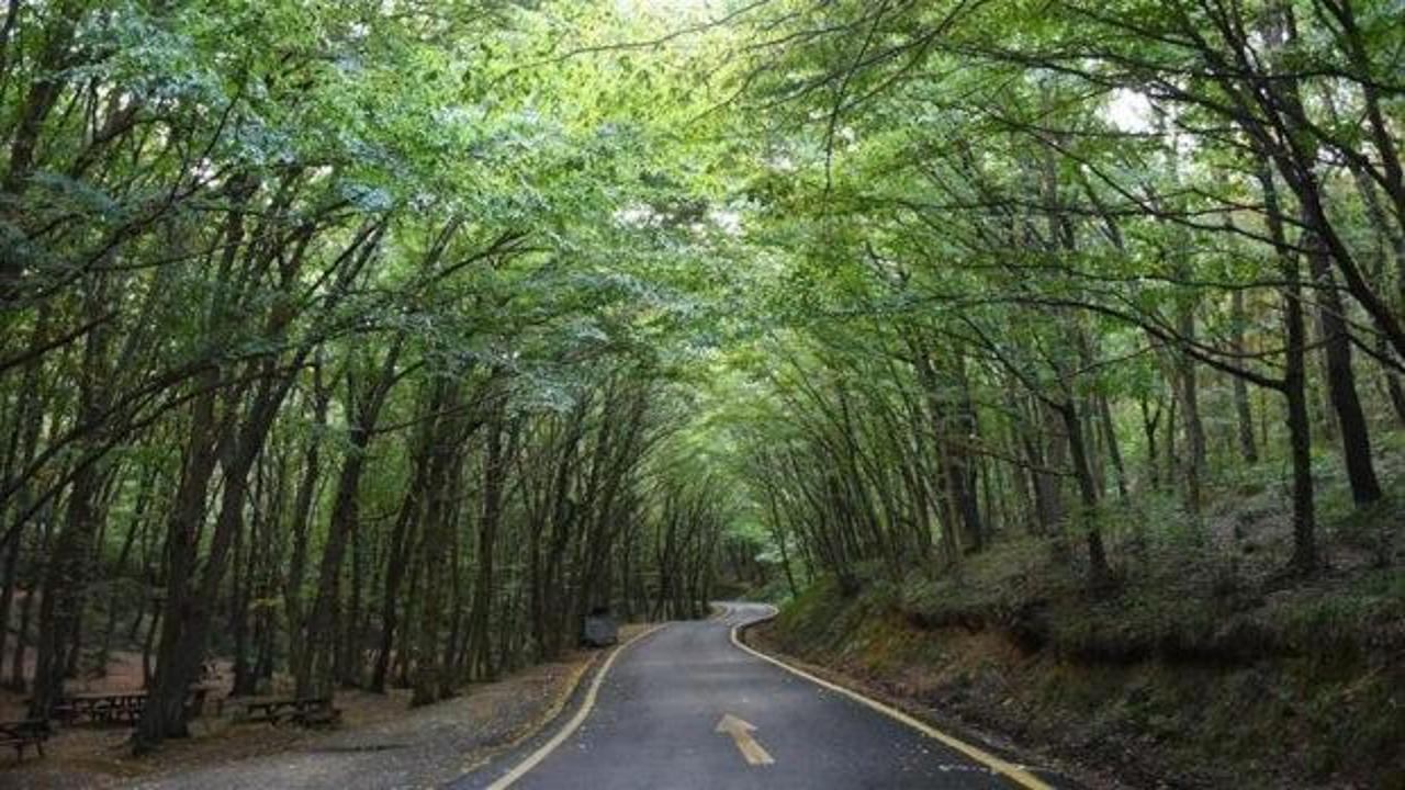 İstanbul'da kuvvetli r&uuml;zgar sonrası yasak kararı! Girişler kapatıldı