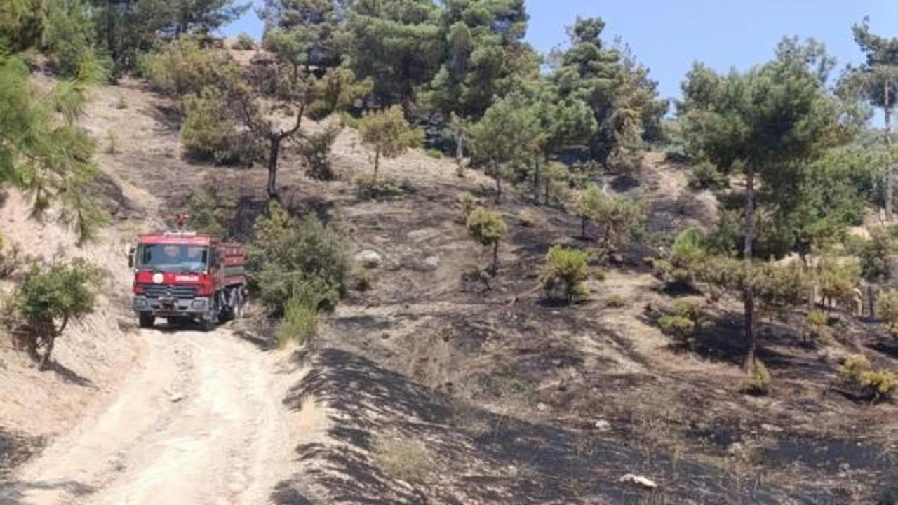 Kahramanmaraş&rsquo;ta orman yangını kontrol altına alındı