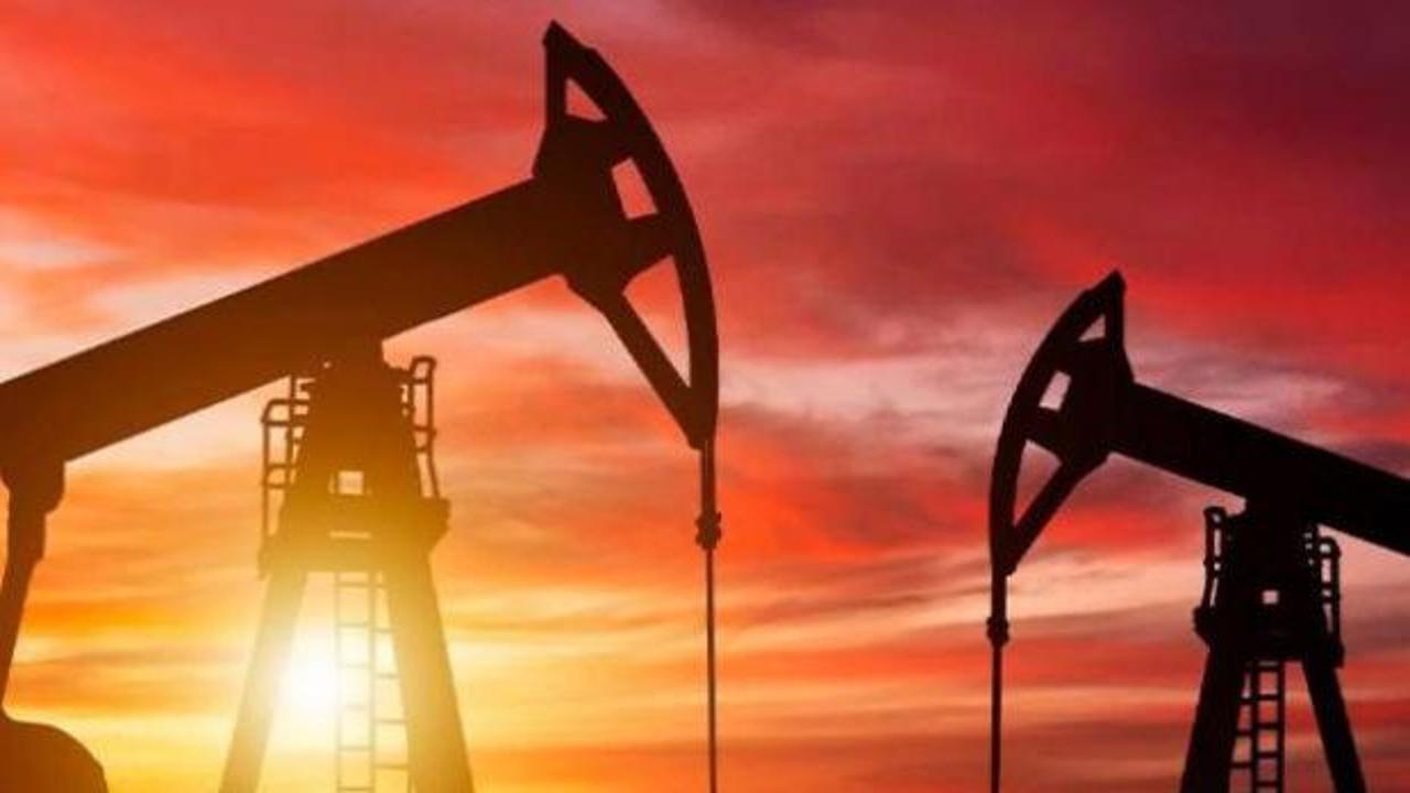 OPEC'in g&uuml;nl&uuml;k ham petrol &uuml;retimi arttı!