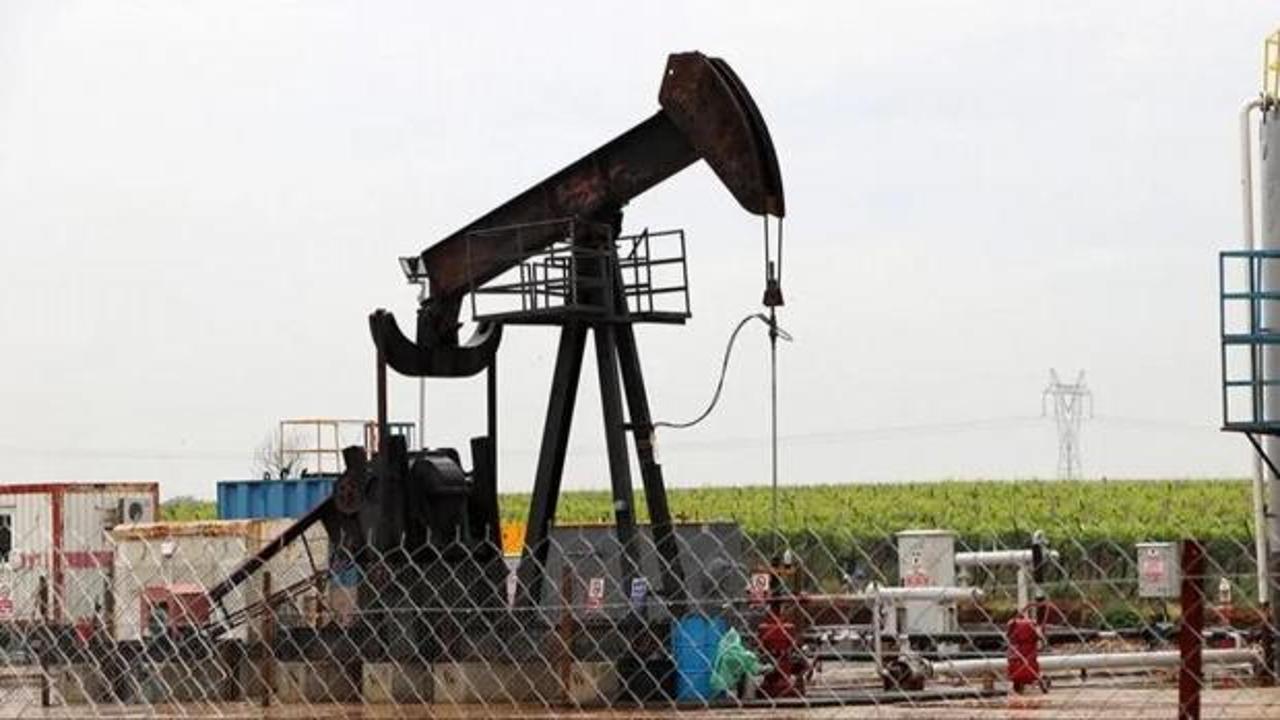 T&uuml;rkiye petrol i&ccedil;in d&uuml;ğmeye bastı! İki şehre yeni ruhsat