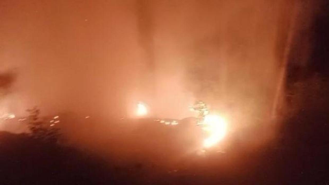Alanya&rsquo;da ormanlık alan yangınında 2 d&ouml;n&uuml;m alan zarar g&ouml;rd&uuml;