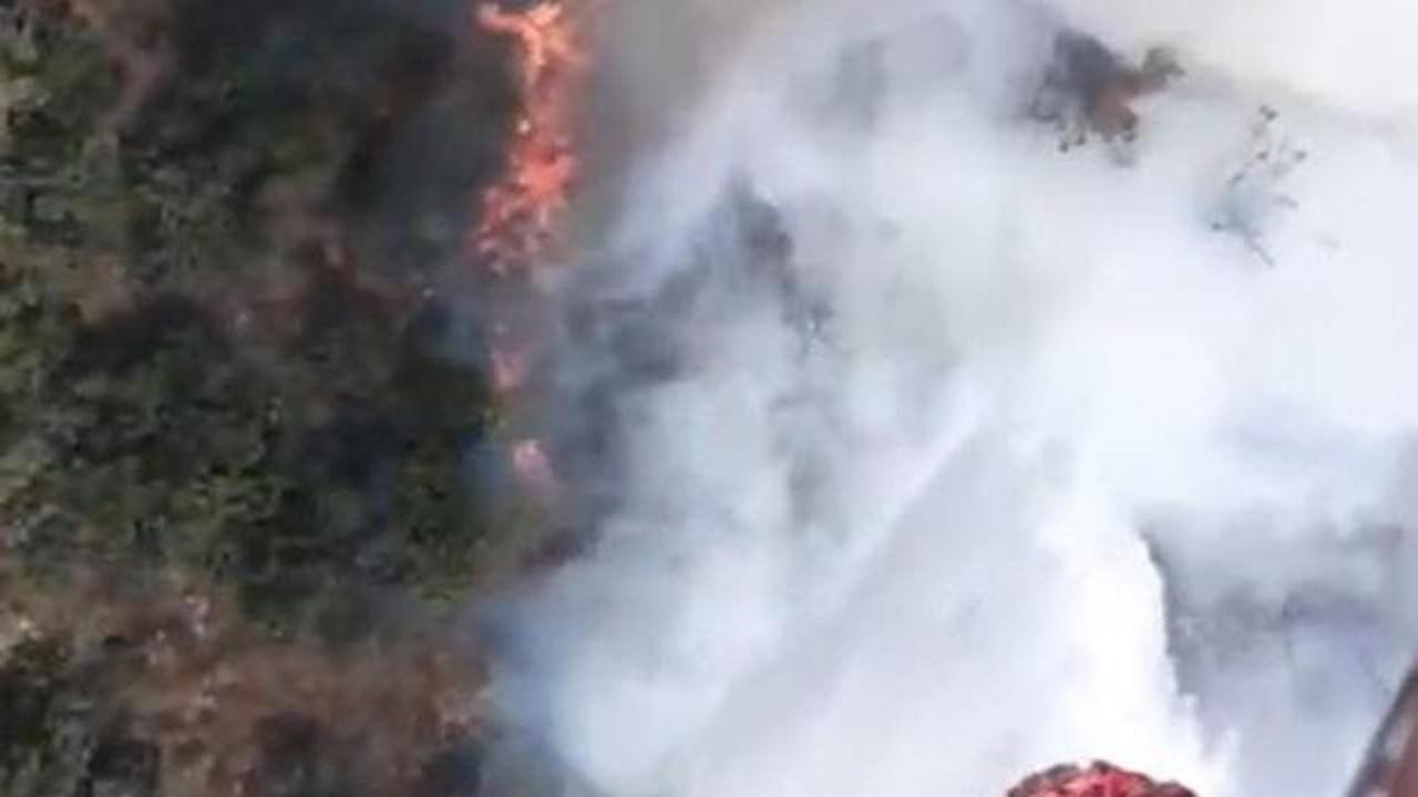 Balıkesir'de kamyondaki yangın ormana sı&ccedil;radı