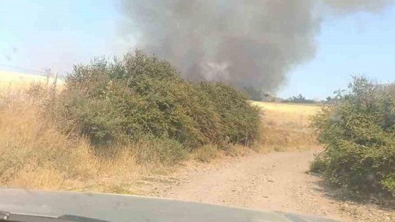 &Ccedil;anakkale'de orman yangını
