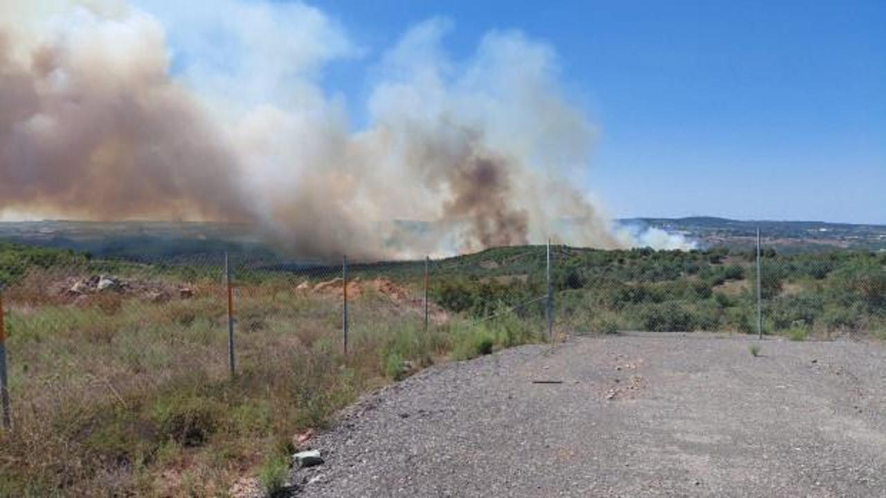 Gebze'de orman yangını