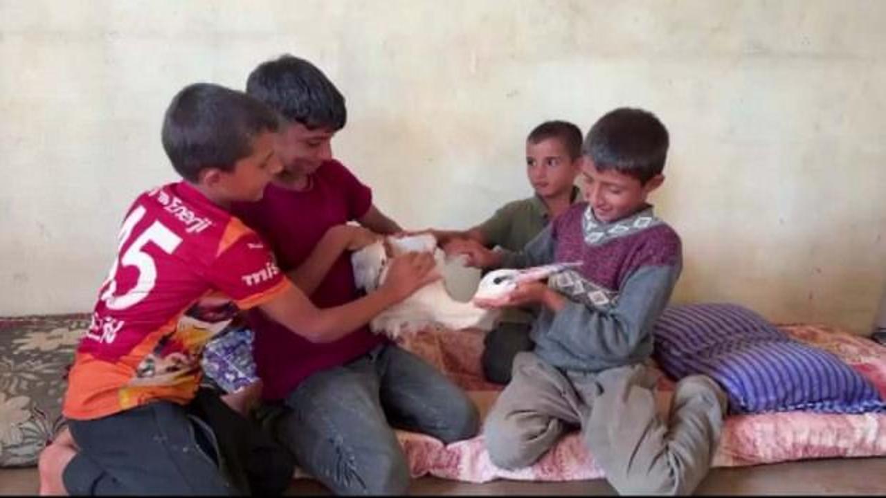 Hatay'da misafirperverlikte sınır yok! G&ouml;&ccedil;te yorgun d&uuml;şen leyleği evlerinde ağırladılar