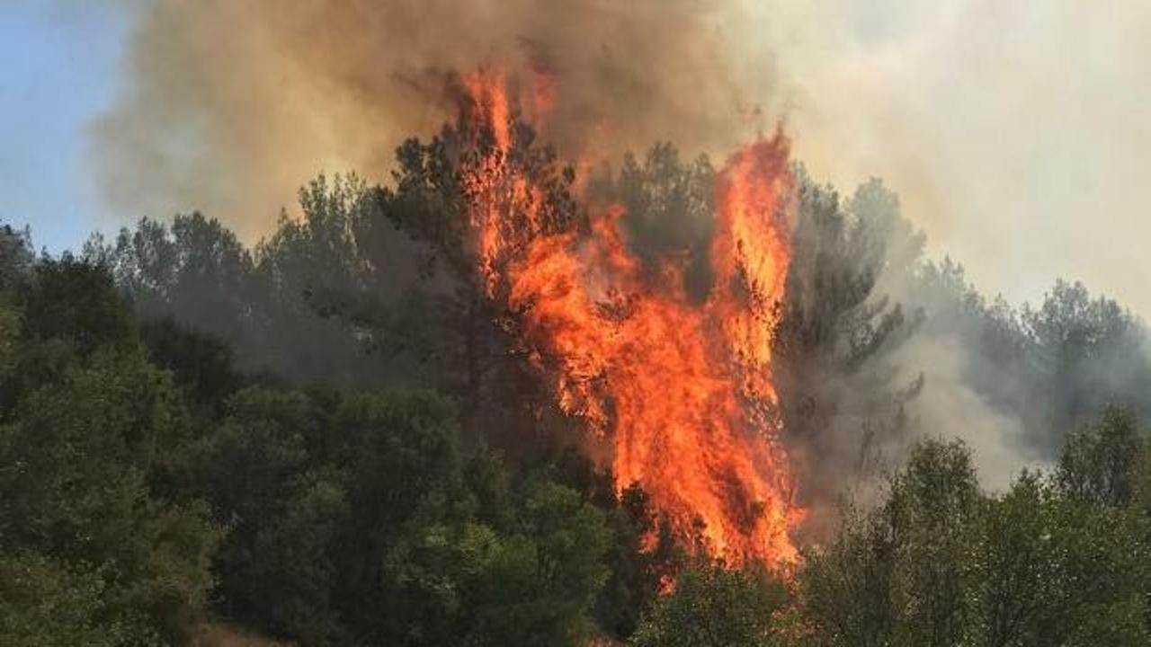 Muğla&rsquo;da orman yangını! Alevler y&uuml;kseldi, ekipler seferber oldu
