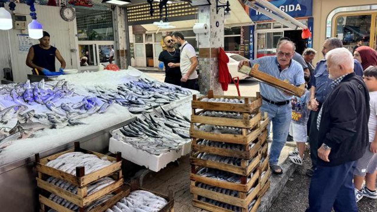 Karadeniz'de palamut bolluğu: Fiyatların daha da d&uuml;şmesi bekleniyor