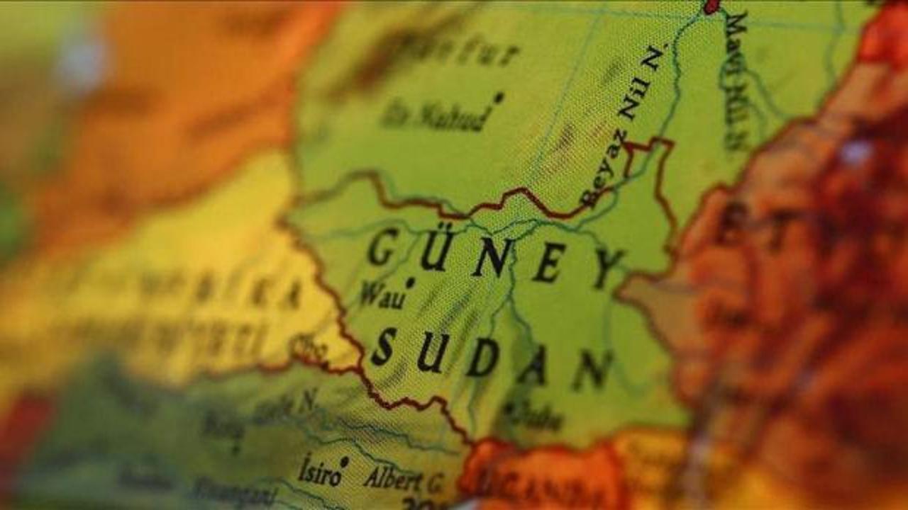 G&uuml;ney Sudan'dan Almanya, Japonya, Norve&ccedil; ve ABD el&ccedil;isine tepki