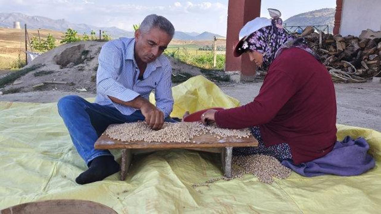 Hasat yapan &ccedil;ift&ccedil;inin y&uuml;z&uuml; g&uuml;ld&uuml;: Kilosu 100 liradan satılıyor