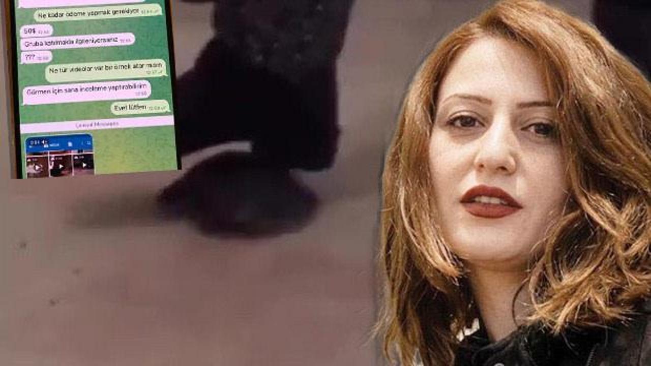 Kaplumbağa cinayetinin arkasından karanlık ağ &ccedil;ıktı: 2 bin 500 TL&rsquo;ye katliam
