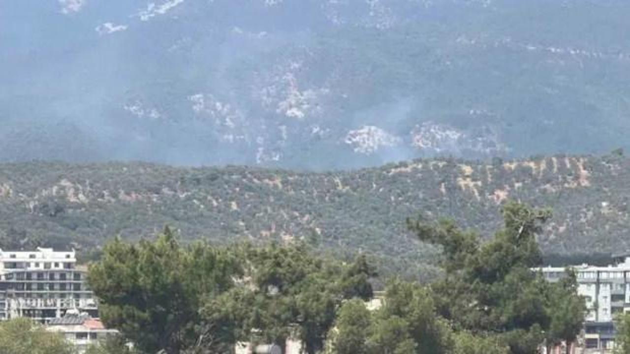 Kazdağı Milli Parkı'nda orman yangını
