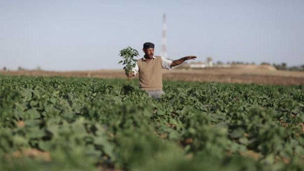 Tarlada &ccedil;alışan &ccedil;ift&ccedil;i İHA ile hedef alındı