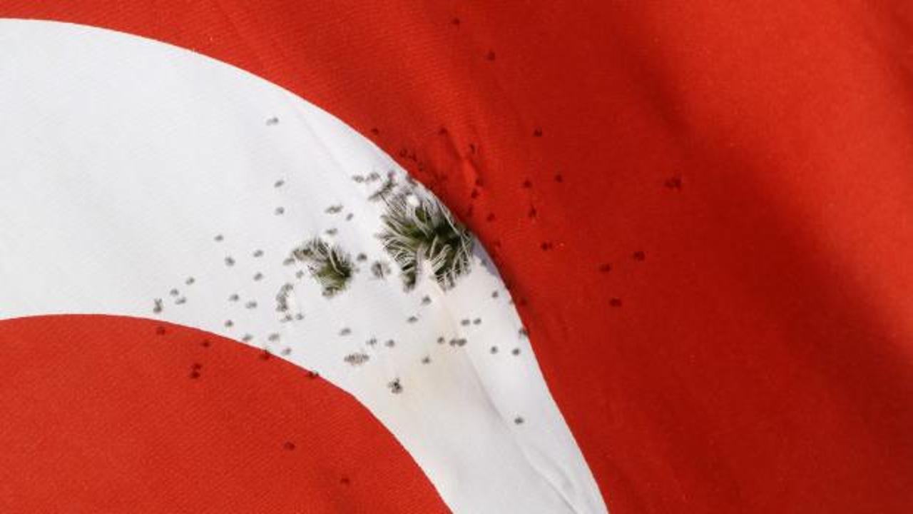 T&uuml;rk bayrağına ateş edildi! Valilikten a&ccedil;ıklama!