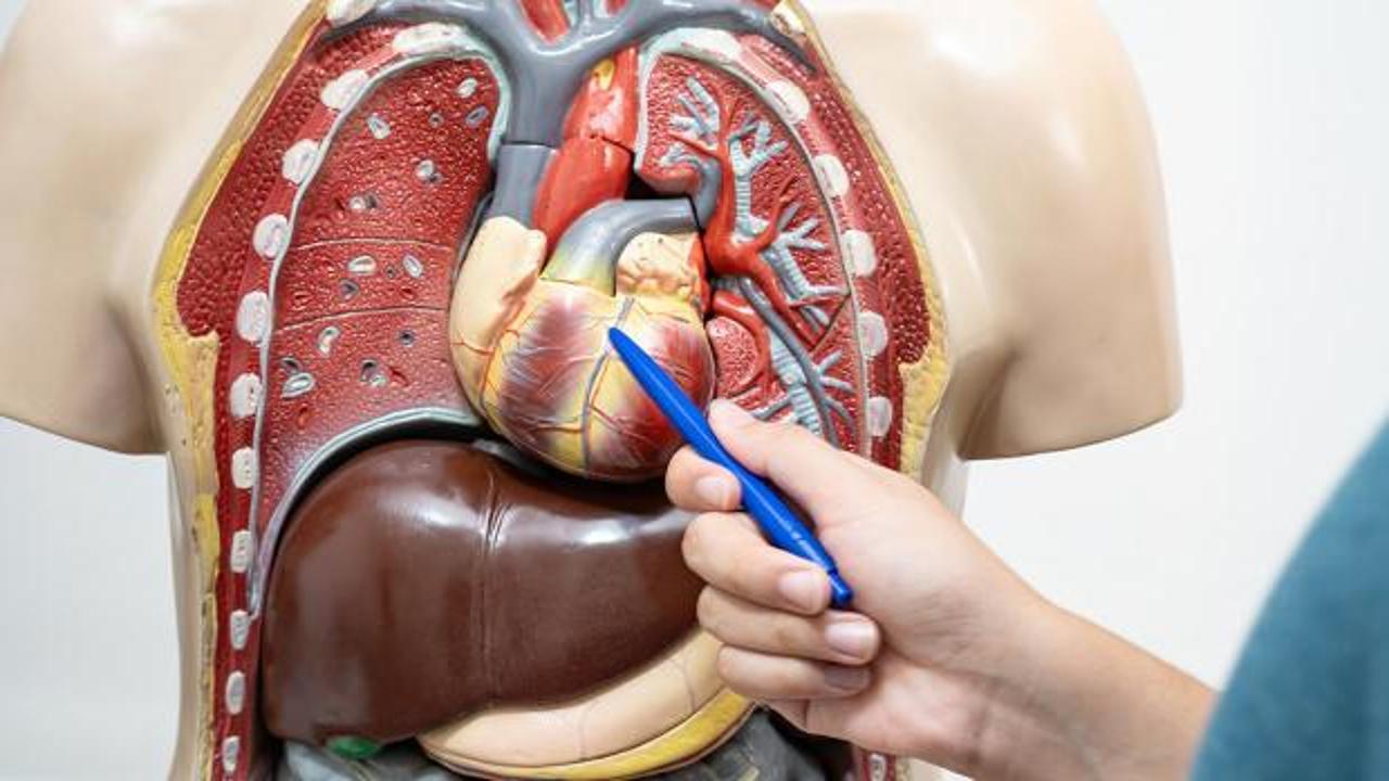 V&uuml;cudu yaşlandırıyor: Gizlice yapıyor! Zararı ortaya &ccedil;ıktı