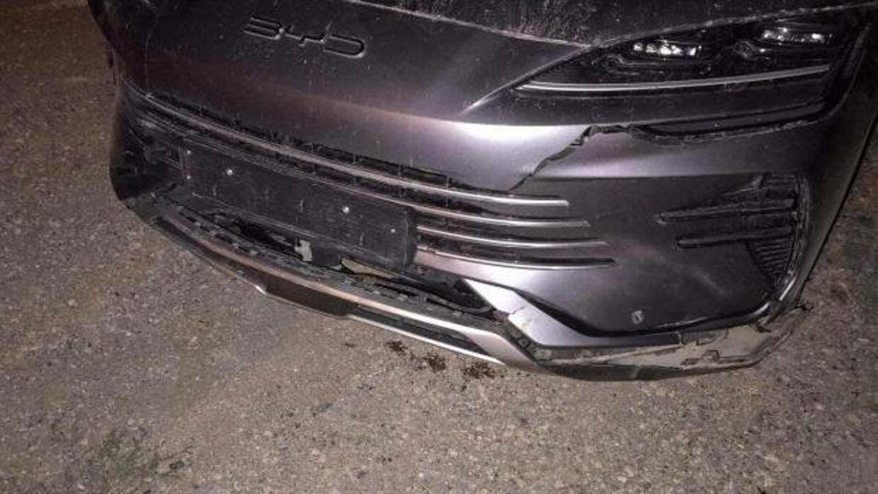 Bilecik'te otomobilin &ccedil;arptığı domuzlar telef oldu