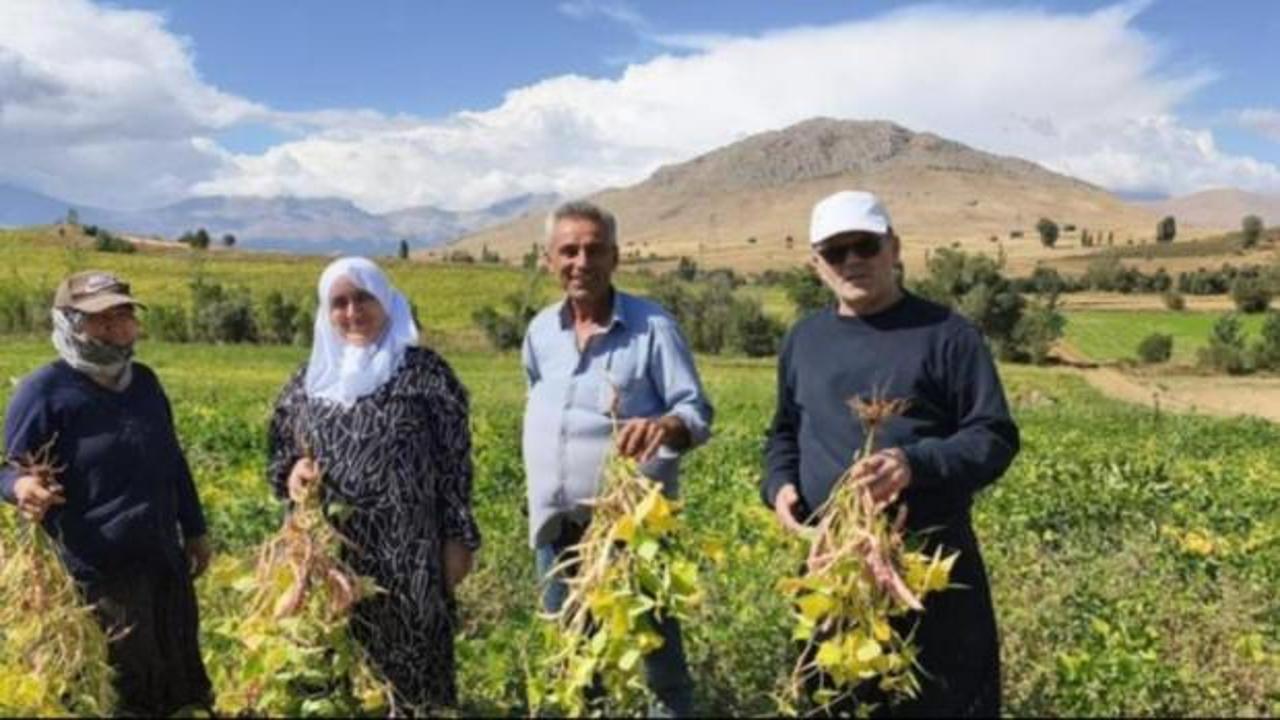 Coğrafi işaretli lezzette hasat başladı! Tarlada kilosu 125 TL