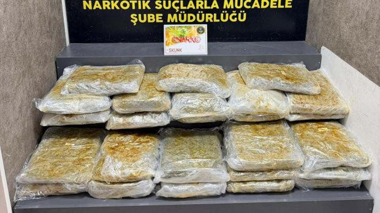 İzmir'de 29 kilo 800 gram skunk ele ge&ccedil;irildi