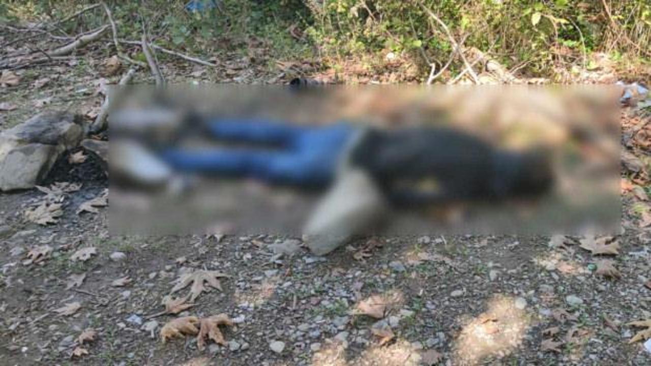 Kastamonu'da dere kenarında erkek cesedi bulundu: 1 g&ouml;zaltı