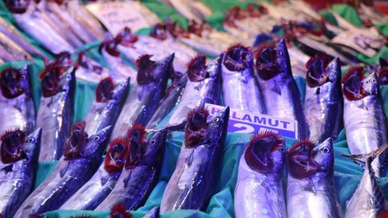 Palamut ve hamsi tezgahları doldurdu! Fiyatlar belli oldu