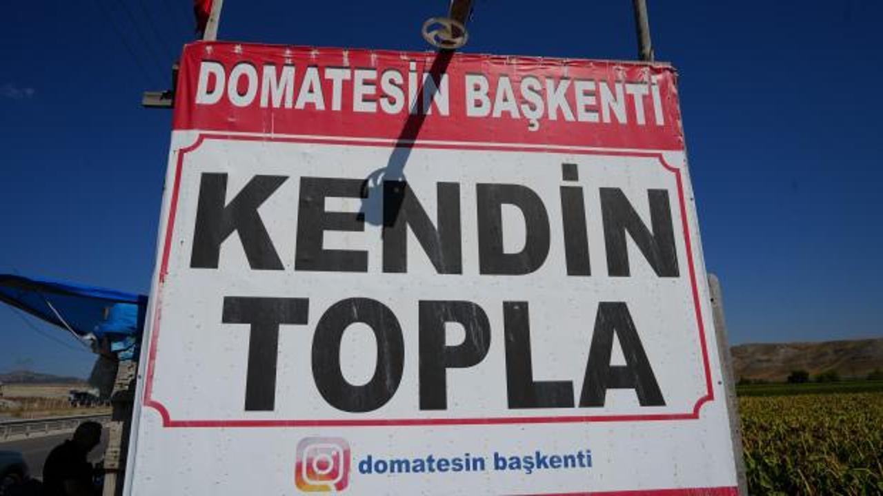 Tabelayı g&ouml;ren tarlaya koşuyor: Gelenek 10 yıldır devam ediyor