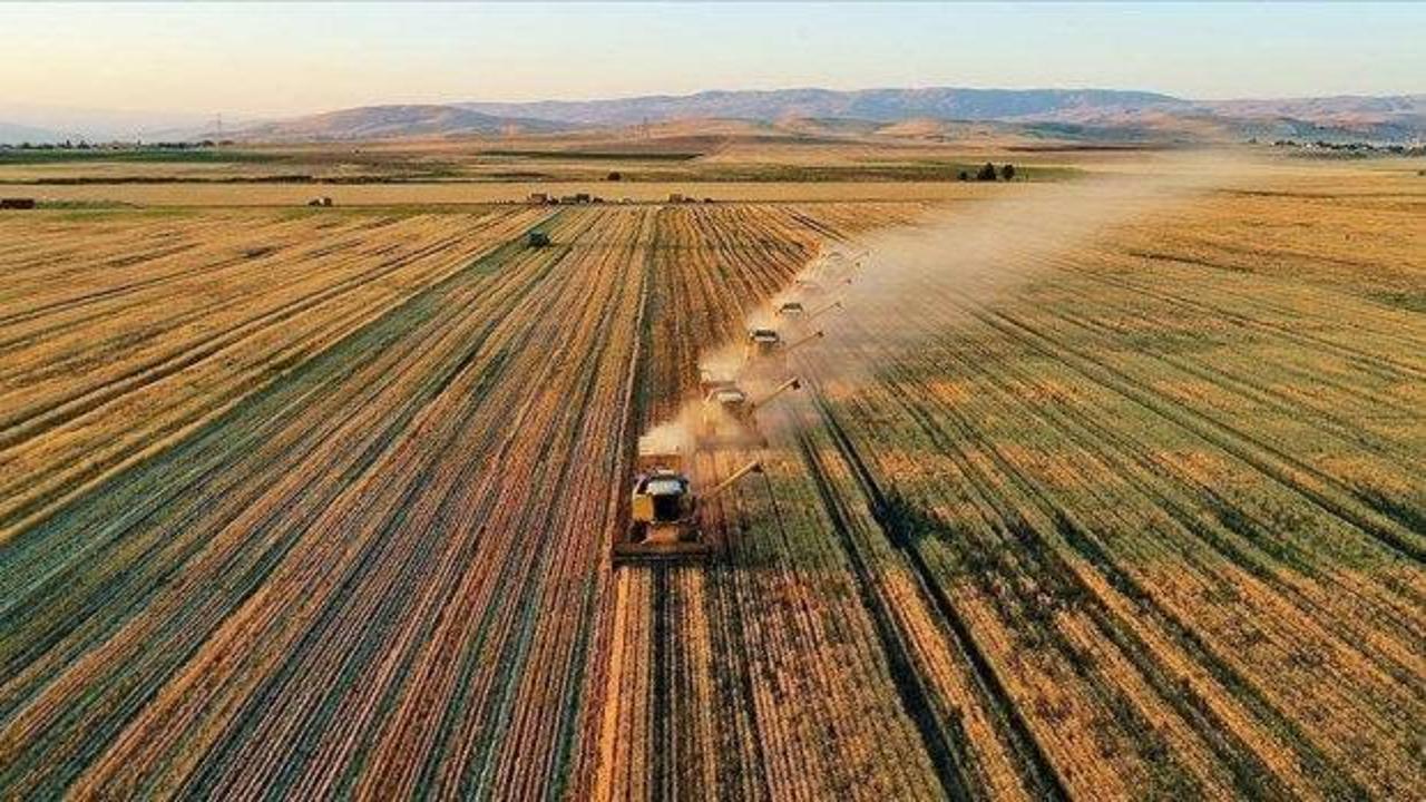 Tarımda Cumhuriyet tarihi rekoru: T&uuml;rkiye d&uuml;nyada 7'nci sıraya y&uuml;kseldi