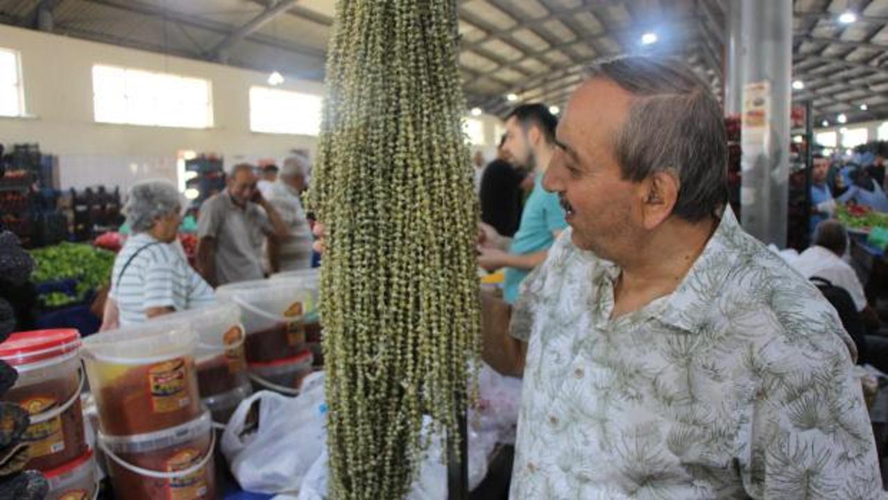Hızır'ın cebinden d&uuml;şen şifa kaynağı: 100 gramı 300 TL'den satılıyor