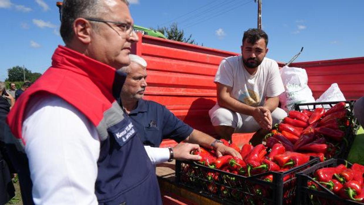 Y&uuml;zde 98'i tek il&ccedil;ede &uuml;retiliyor: Ekonomiye katkısı 4 milyar lira