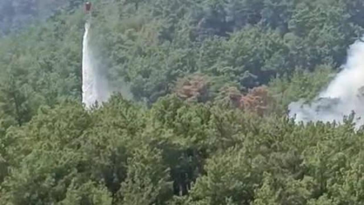 Adana Kozan'da yeniden yangın!