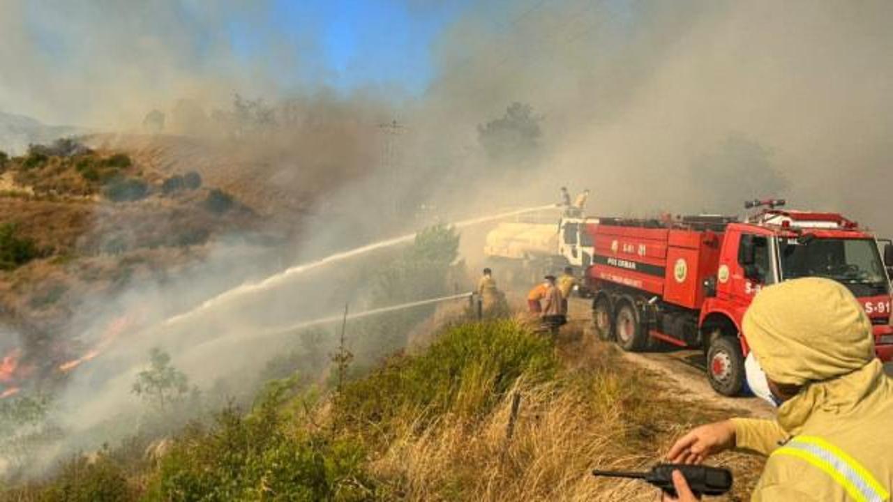 Adana ve Kayseri'de orman yangını!