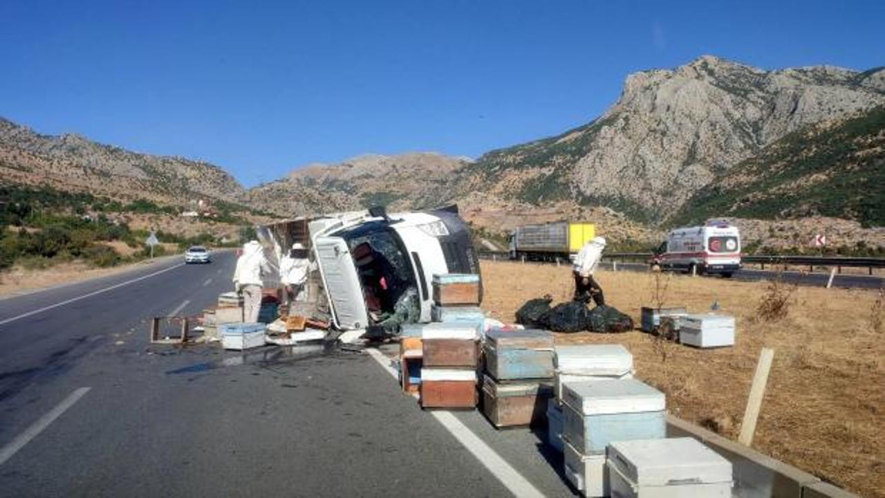 Arı kovanı y&uuml;kl&uuml; kamyonet devrildi!