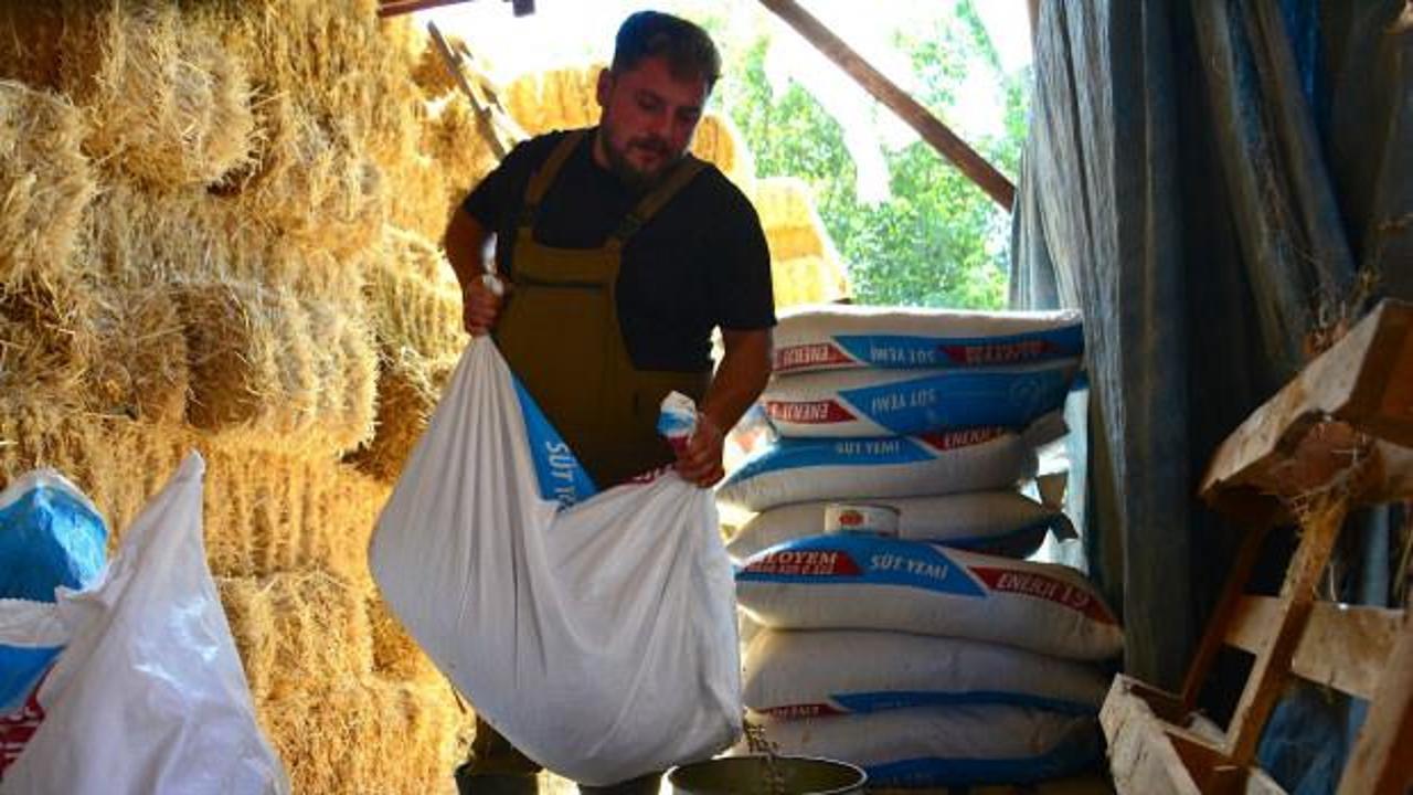 Çorumlu Esat Er memurluktan ayrılıp köyünde çiftlik kurdu