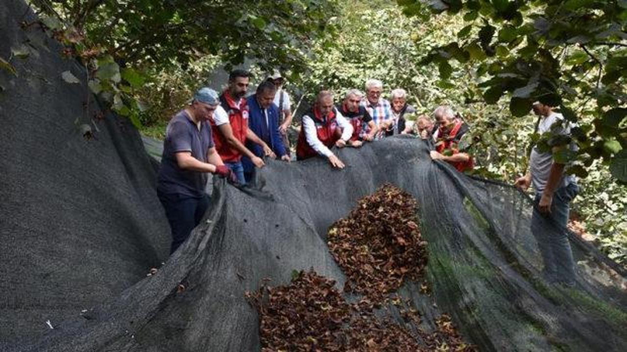 Fındık &uuml;reticisine b&uuml;y&uuml;k kolaylık! Hasat maliyetini y&uuml;zde 80 d&uuml;ş&uuml;r&uuml;yor!