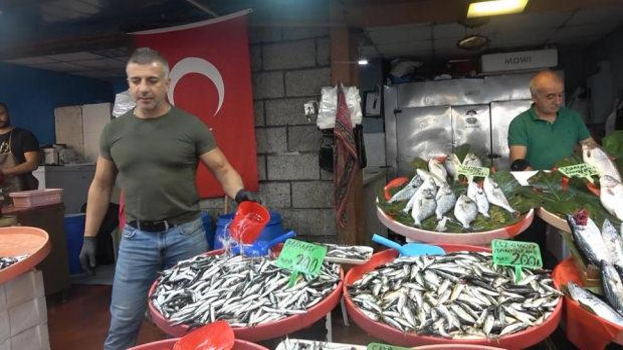 Fiyatlar d&uuml;ş&uuml;şte! Hamsi 150, palamut 100 TL