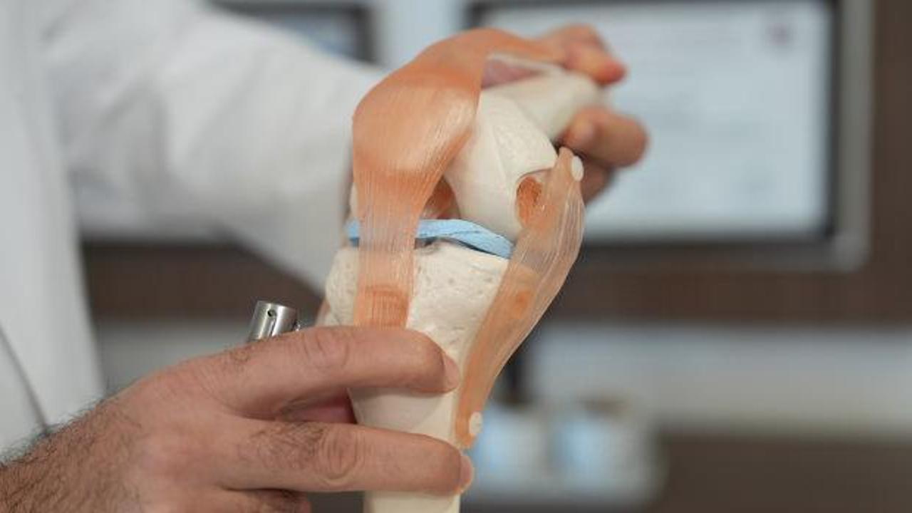 Menisk&uuml;s kaybına hastanın kendi dokusundan kalıcı &ccedil;&ouml;z&uuml;m
