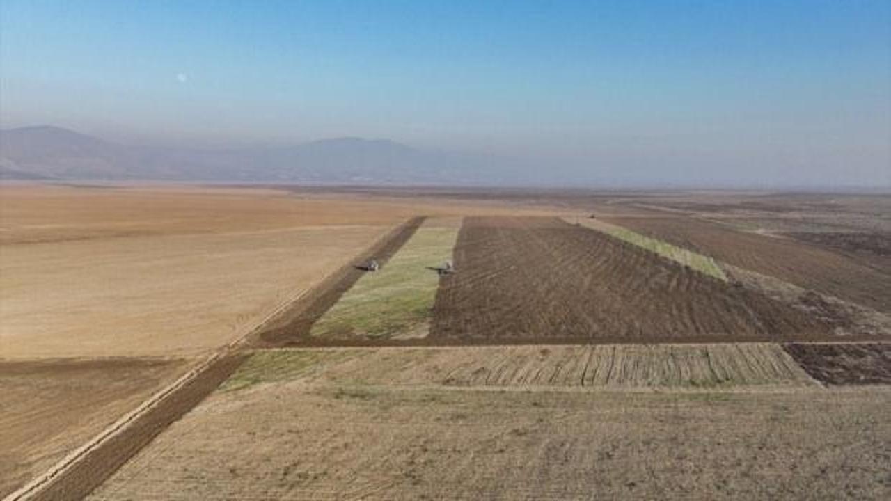 Marmara G&ouml;l&uuml; kurudu, dev proje ortaya &ccedil;ıktı! D&uuml;nyanın en b&uuml;y&uuml;k organik işletmesi olacak