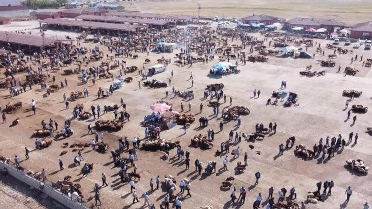 Şap alarmı! Ağrı Hayvan Borsası 30 g&uuml;n s&uuml;reyle kapatıldı