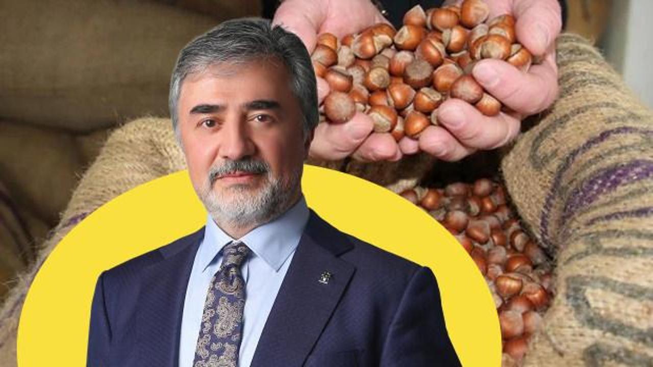 AK Partili Hamarat'tan fındık t&uuml;ccarlarına &ccedil;ağrı: &Uuml;reticinin emeğini g&ouml;zetin