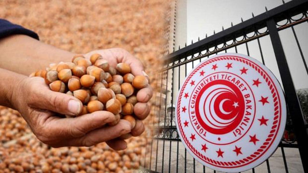 İki ilimizde fındık piyasasına sıkı denetim: Müfettiş görevlendirildi - Haber 7: Bilinenler ve sonraki adımlar