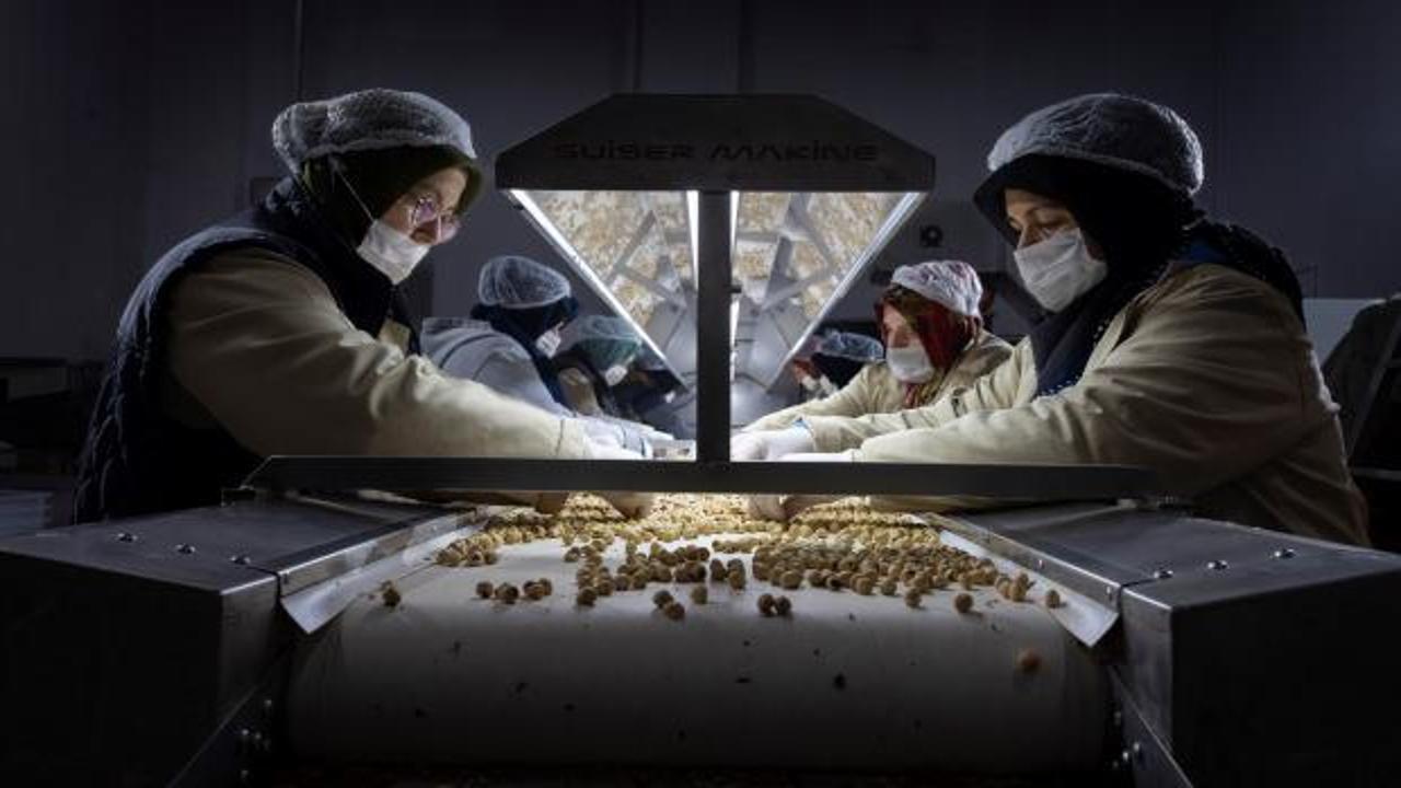 &Ouml;d&uuml;n&ccedil; kantarla başladılar, Amerika'ya a&ccedil;ıldılar: B&uuml;t&uuml;n k&ouml;y bu fabrikaya ortak