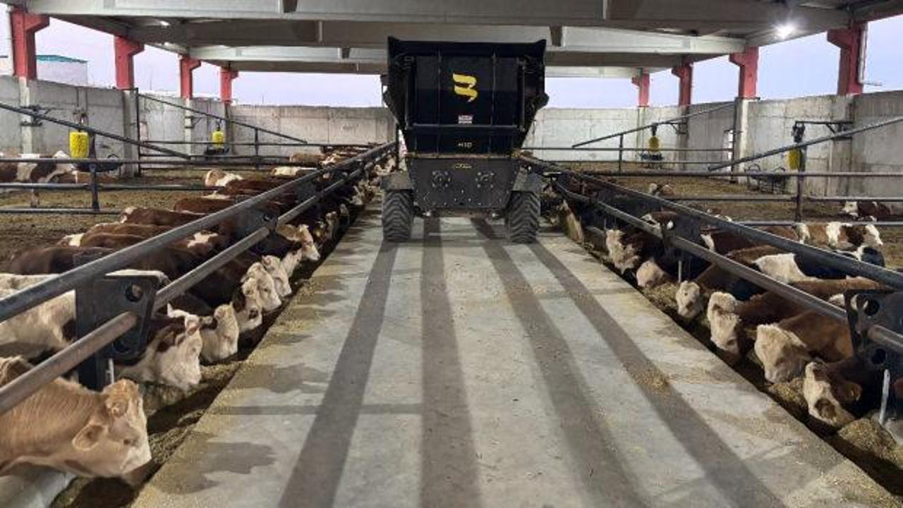 Şanlıurfa et &uuml;retim &uuml;ss&uuml; oluyor! 5 bin kişiye istihdam sağlanacak